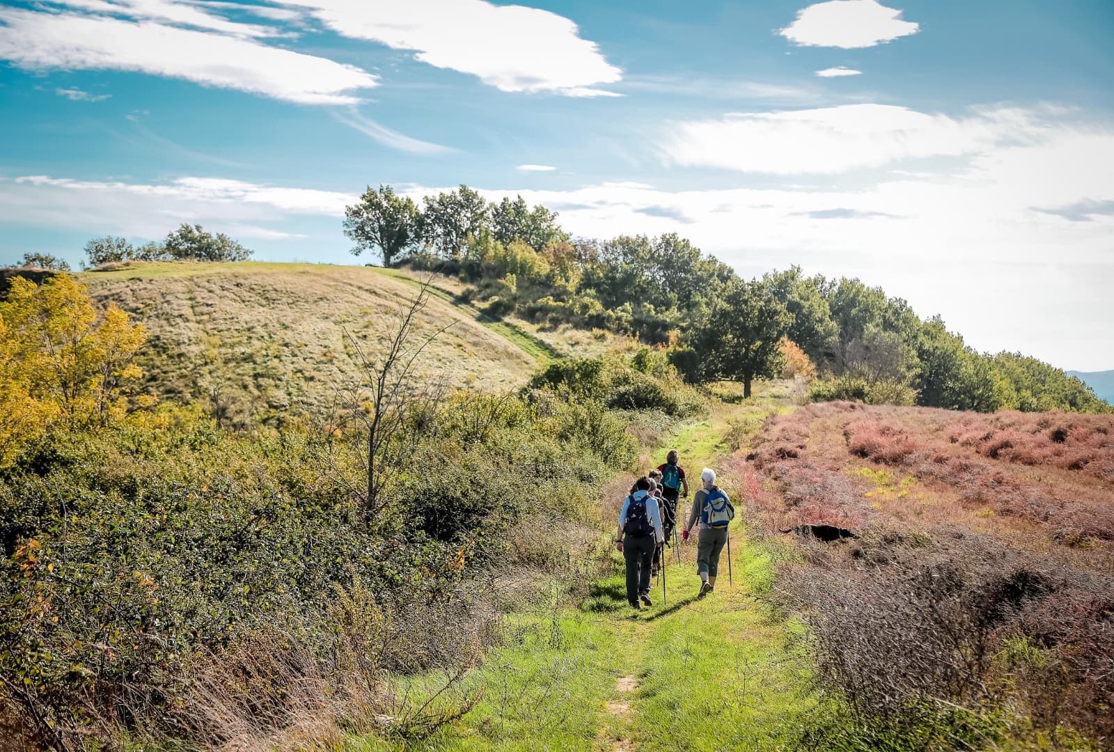 Marche Aventure