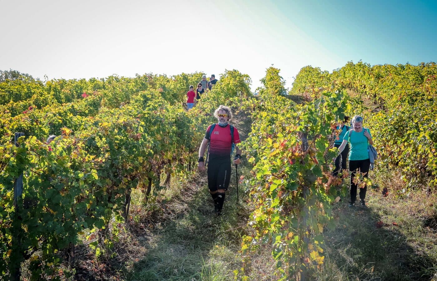 Sentier dans les collines de Romagne