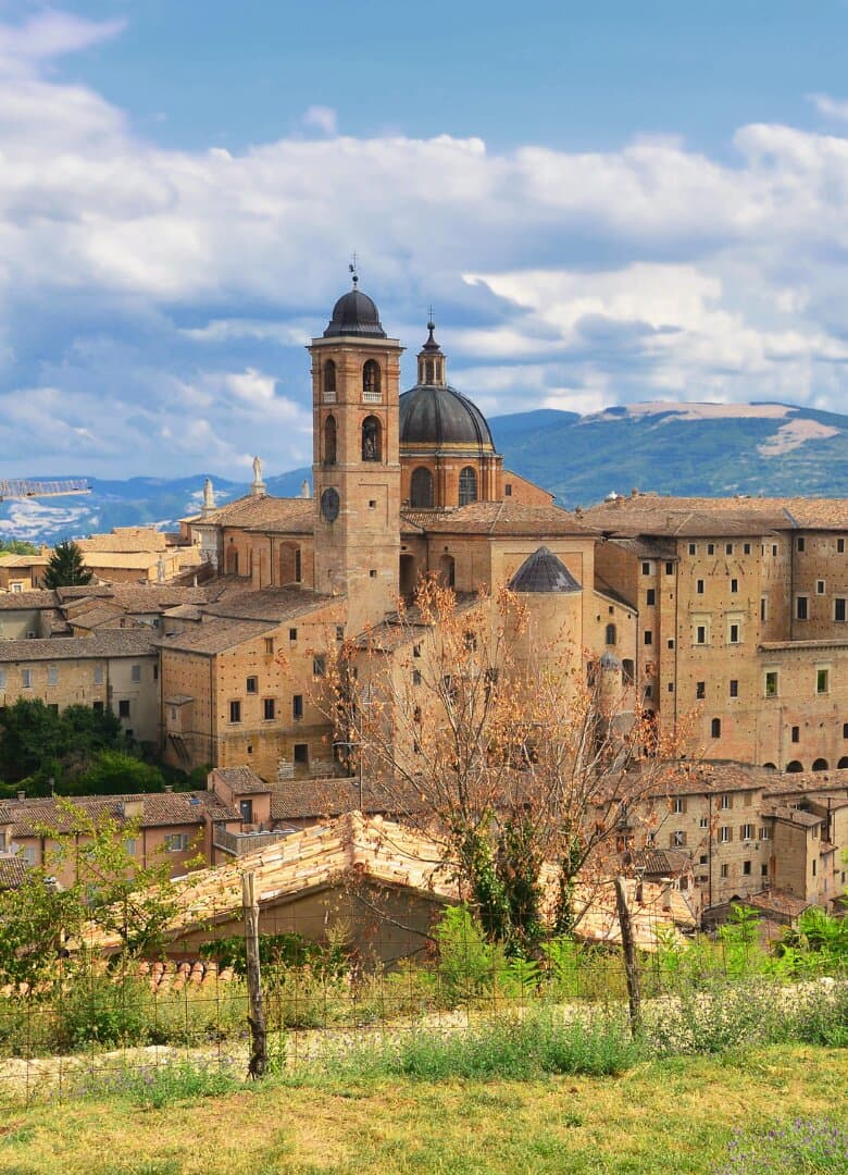 Urbino